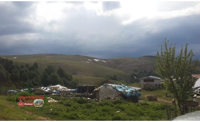 Amasya'da Yayla Evleri Soyuldu !